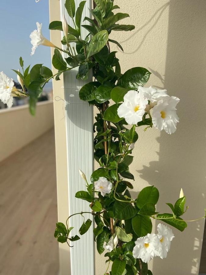 Rossini Penthouse Lejlighed Cagliari Eksteriør billede